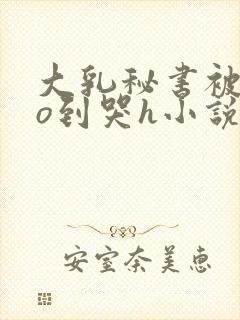 大乳秘书被cao到哭h小说