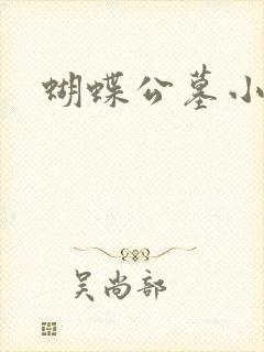 蝴蝶公墓小说