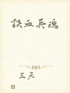 铁血兵魂封面