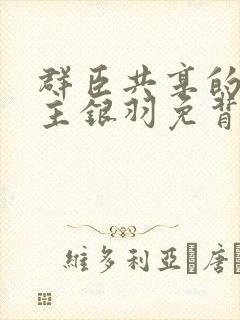 群臣共享的小公主银羽免背刺封面
