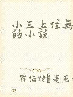 小三上位无三观的小说