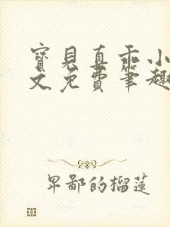 宝贝真乖小说全文免费笔趣阁封面