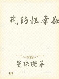 我的性孝敬封面