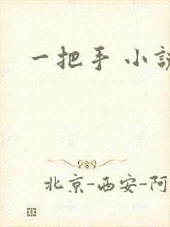 一把手 小说