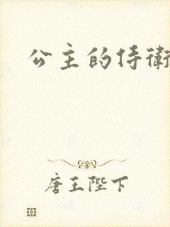 公主的侍卫