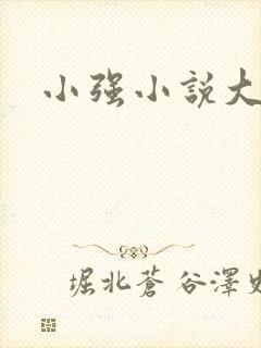 小强小说大全