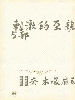 刺激的至亲乱45部封面