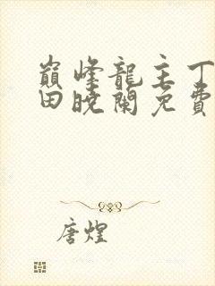 巅峰龙主丁长顺田晓兰免费阅读