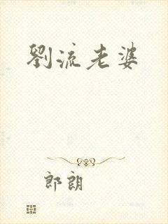 刘流老婆封面