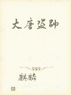 大唐盗帅