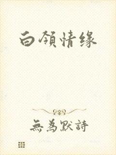 白领情缘