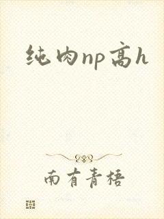 纯肉np高h