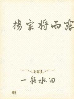 杨家将雨露均沾