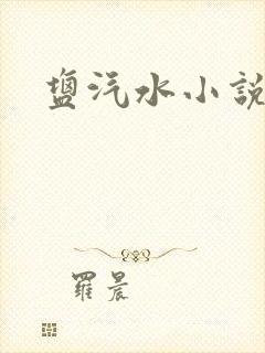 盐汽水小说