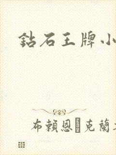 钻石王牌小说