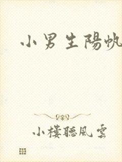 小男生阳帆