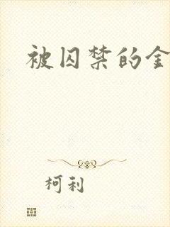 被囚禁的金丝雀
