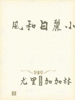 风和日丽小说
