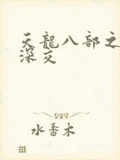 天龙八部之极乐深交