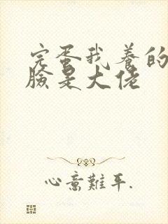 完蛋我养的小白脸是大佬封面