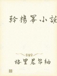 干杨幂小说