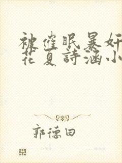 被催眠暴奸的校花夏诗涵小说封面