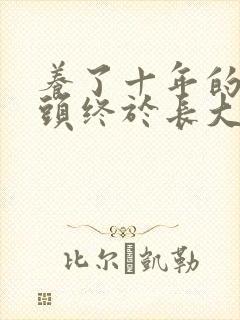 养了十年的小丫头终于长大了封面