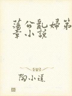 荡公乱妇第51章小说封面