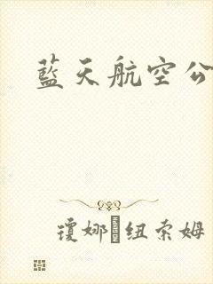 蓝天航空公司封面