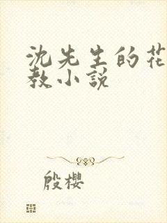 沈先生的花式调教小说封面