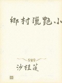 乡村猎艳小说
