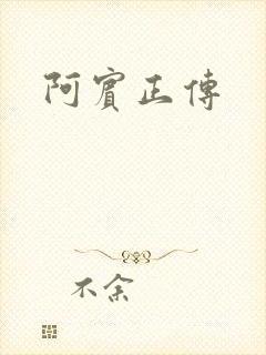 阿宾正传