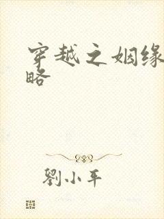 穿越之姻缘劫攻略封面