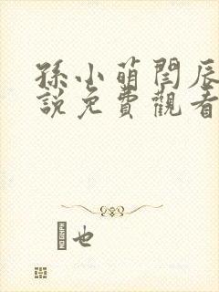 孙小萌闫辰的小说免费观看封面