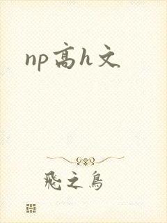 np高h文封面