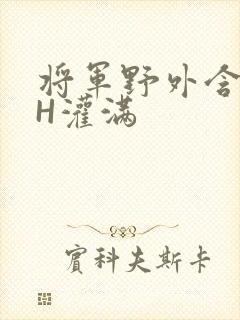 将军野外含公主H灌满
