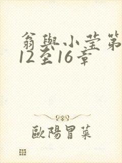 翁与小莹第十部12至16章