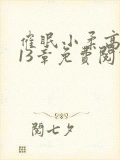 催眠小柔高达第13章免费阅读