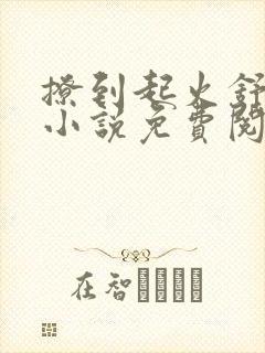 撩到起火舒漾的小说免费阅读全文