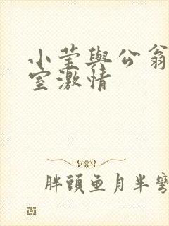 小莹与公翁办公室激情