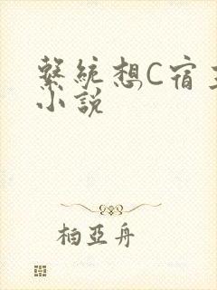 系统想C宿主的小说