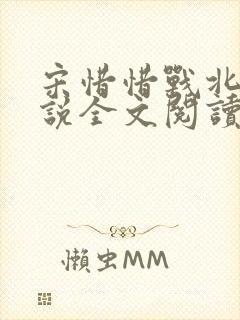 宋惜惜战北望小说全文阅读