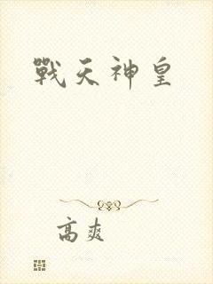 战天神皇封面
