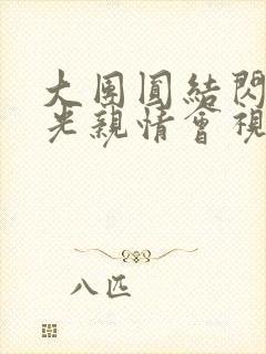 大团圆结闪闪发光亲情会视频