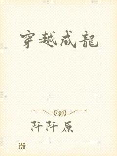 穿越成龙封面