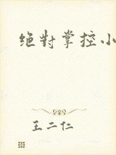 绝对掌控小说封面