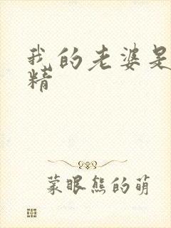 我的老婆是狐狸精