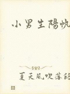 小男生阳帆