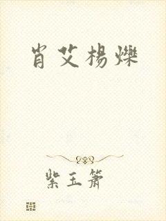 肖艾杨烁封面
