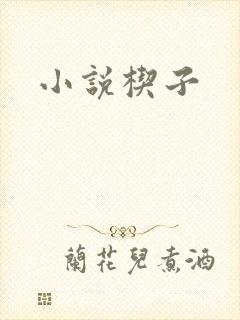 小说楔子